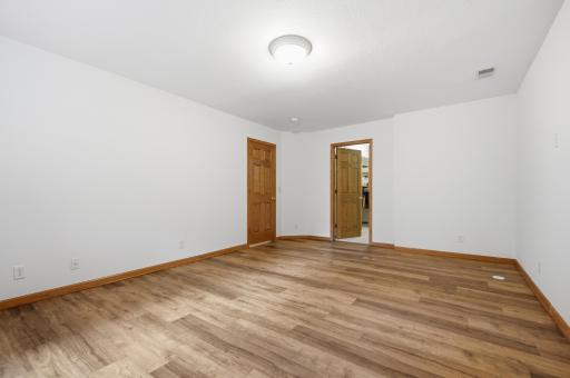 Large walk in closet in lower level bedroom