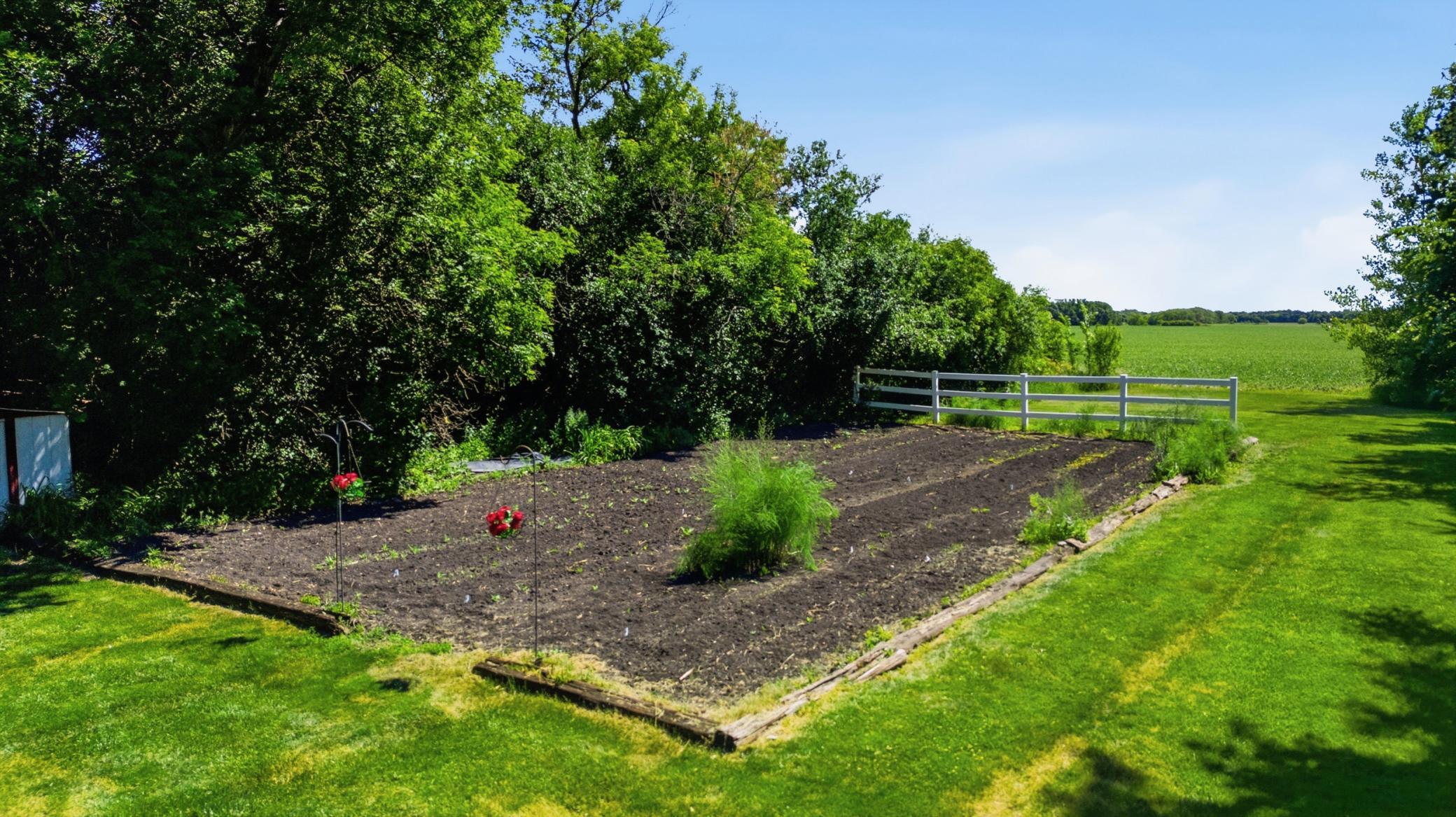 Backyard Garden