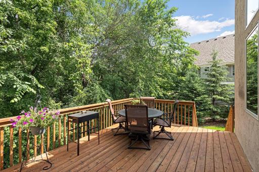 6582 Willow Court, Mound, MN 55364