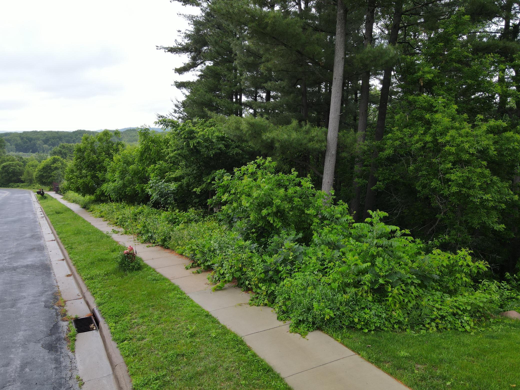 Sidewalk and curbs in place