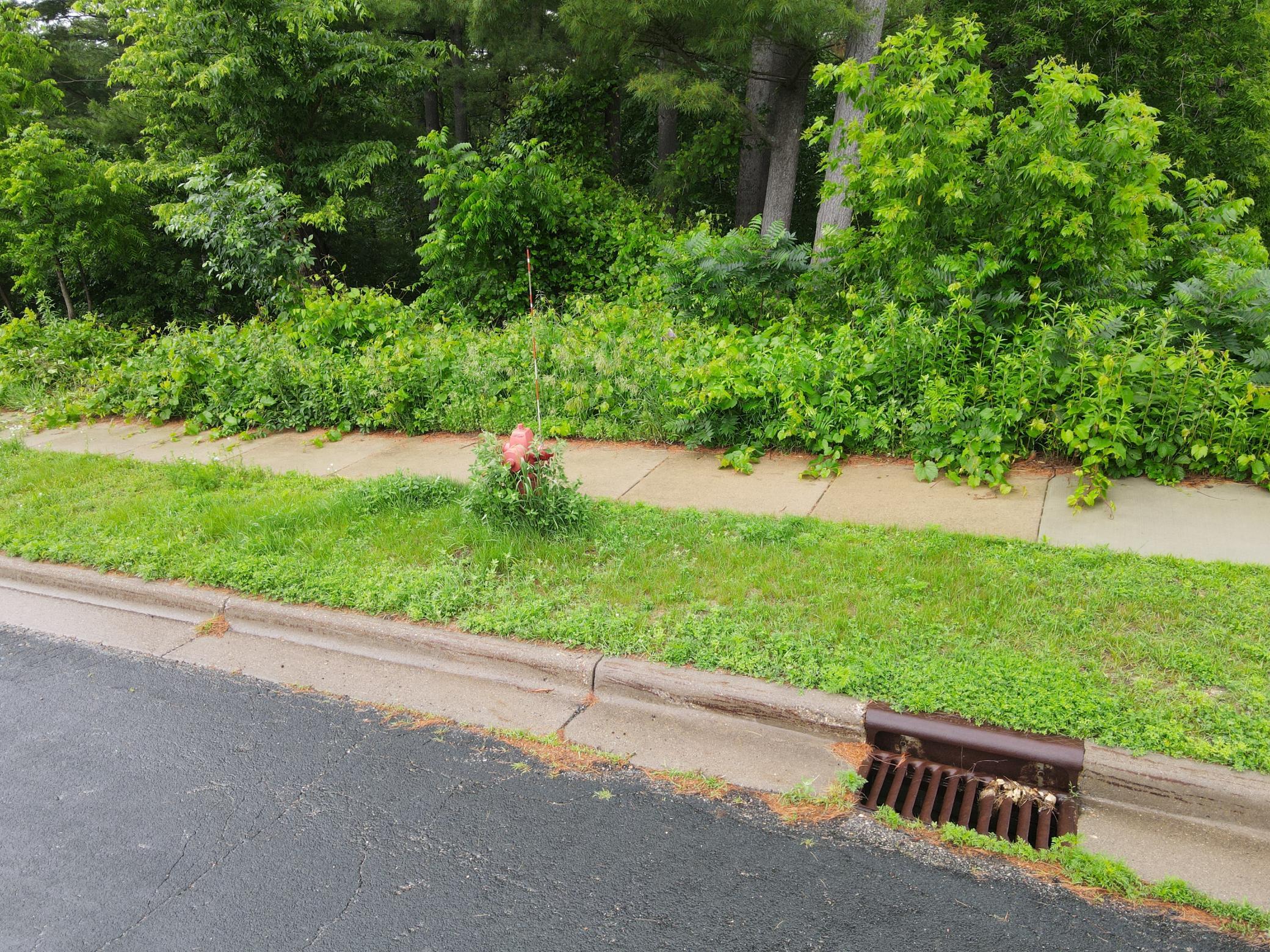 City sewer and water