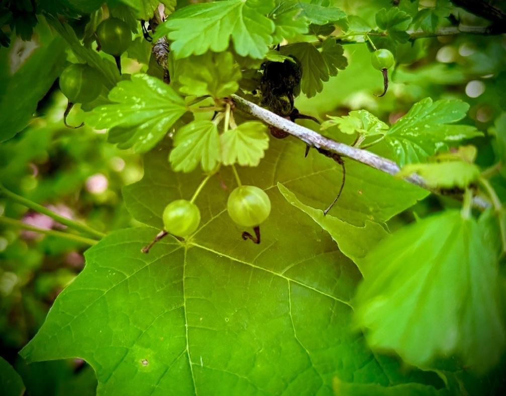 b21.jpg