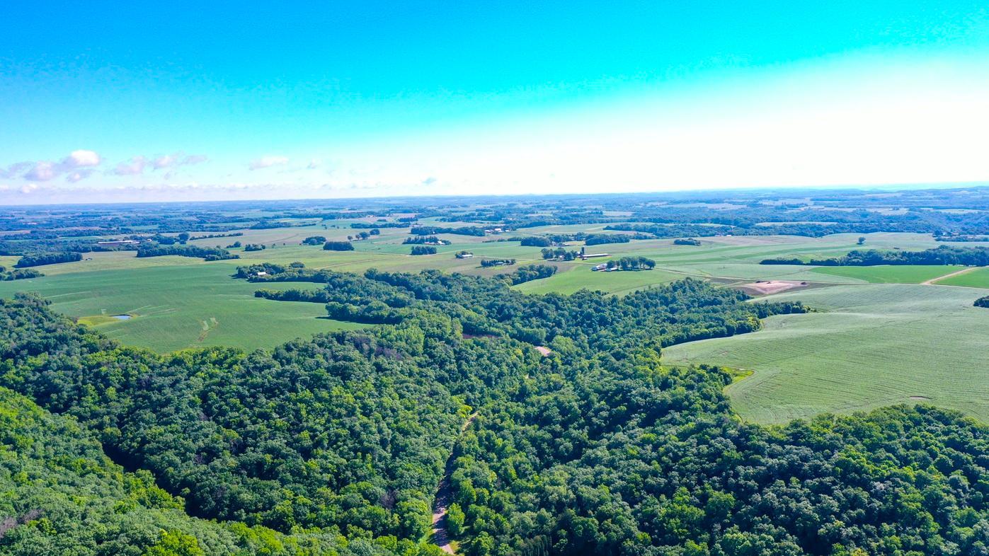 DJI_0059.jpg