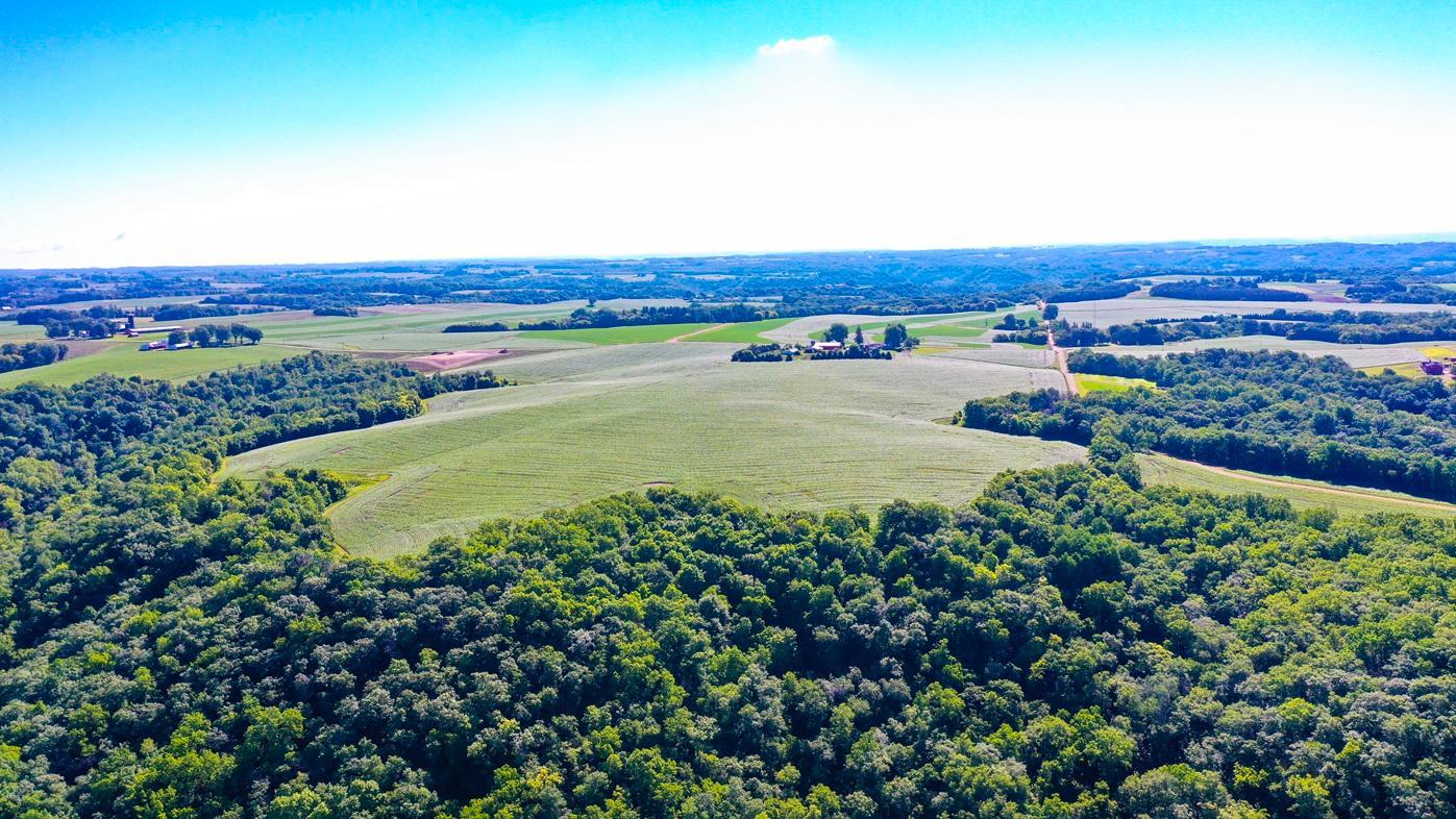 DJI_0057.jpg
