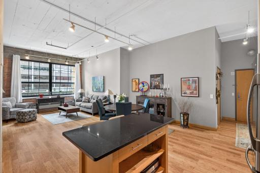 250 Park Avenue, 502, Minneapolis, MN 55415