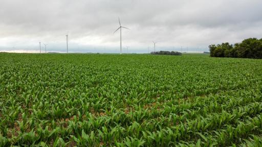TBD Dove Avenue, Joice, IA 50446