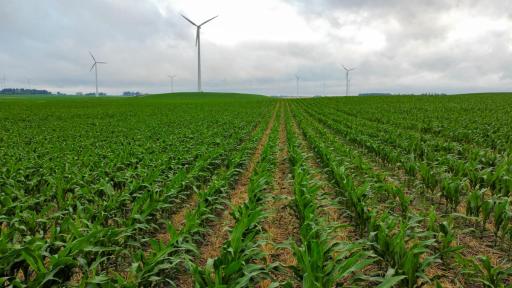 TBD Dove Avenue, Joice, IA 50446