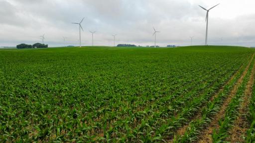 TBD Dove Avenue, Joice, IA 50446