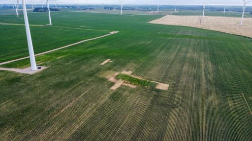 TBD Dove Avenue, Joice, IA 50446