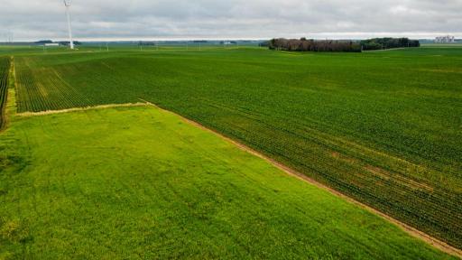 TBD Dove Avenue, Joice, IA 50446