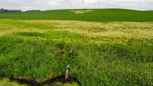 TBD Dove Avenue, Joice, IA 50446
