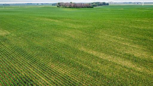 TBD Dove Avenue, Joice, IA 50446