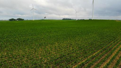 TBD Dove Avenue, Joice, IA 50446