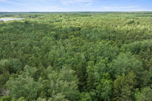 TBD Hwy 210 W., Baxter, MN 56425