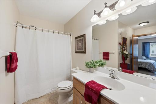 15537 Sodium Way, Ramsey, MN 55303
