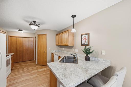 15537 Sodium Way, Ramsey, MN 55303