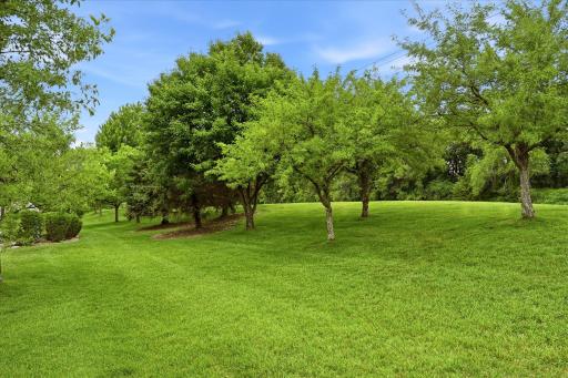 15537 Sodium Way, Ramsey, MN 55303