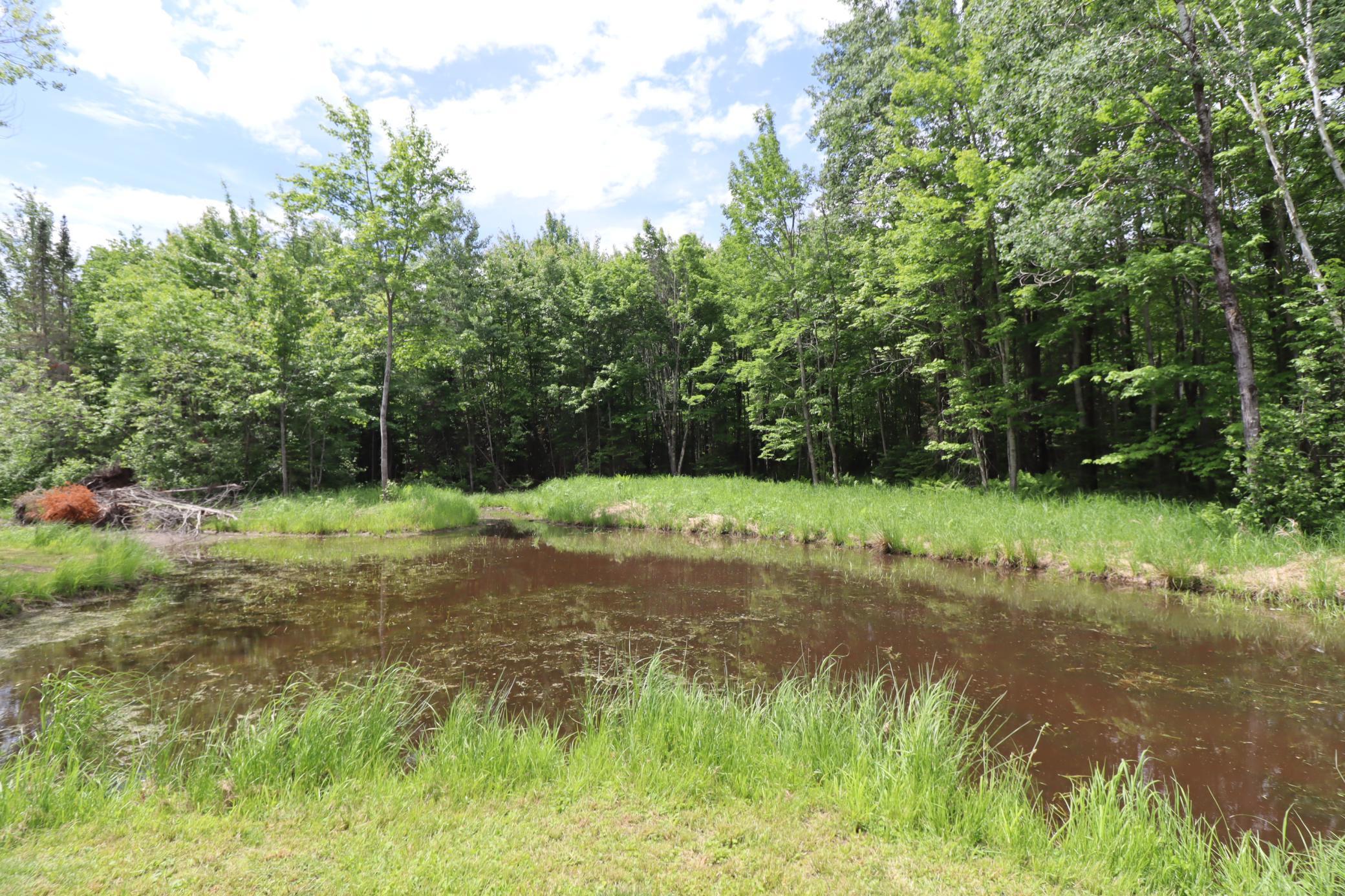 Pond