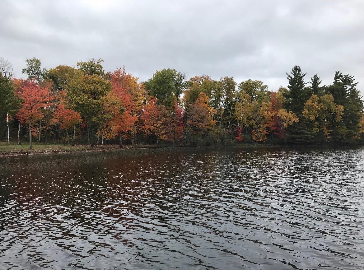 Autumn Splendor
