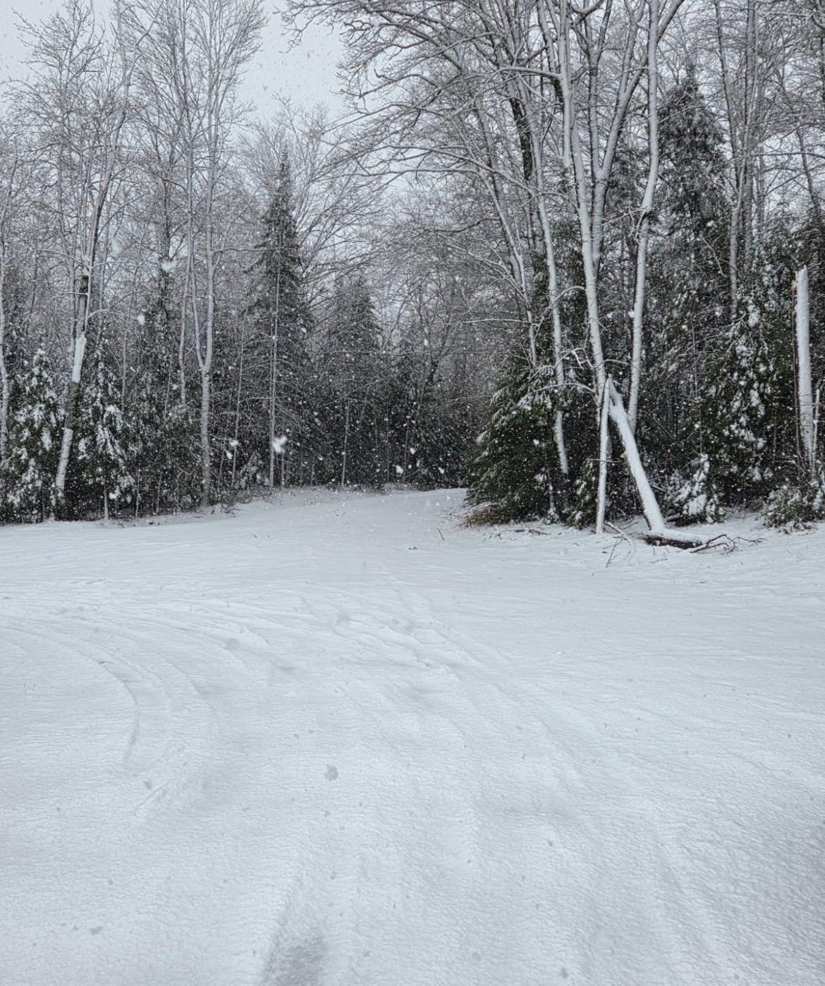 Winter Wonderland