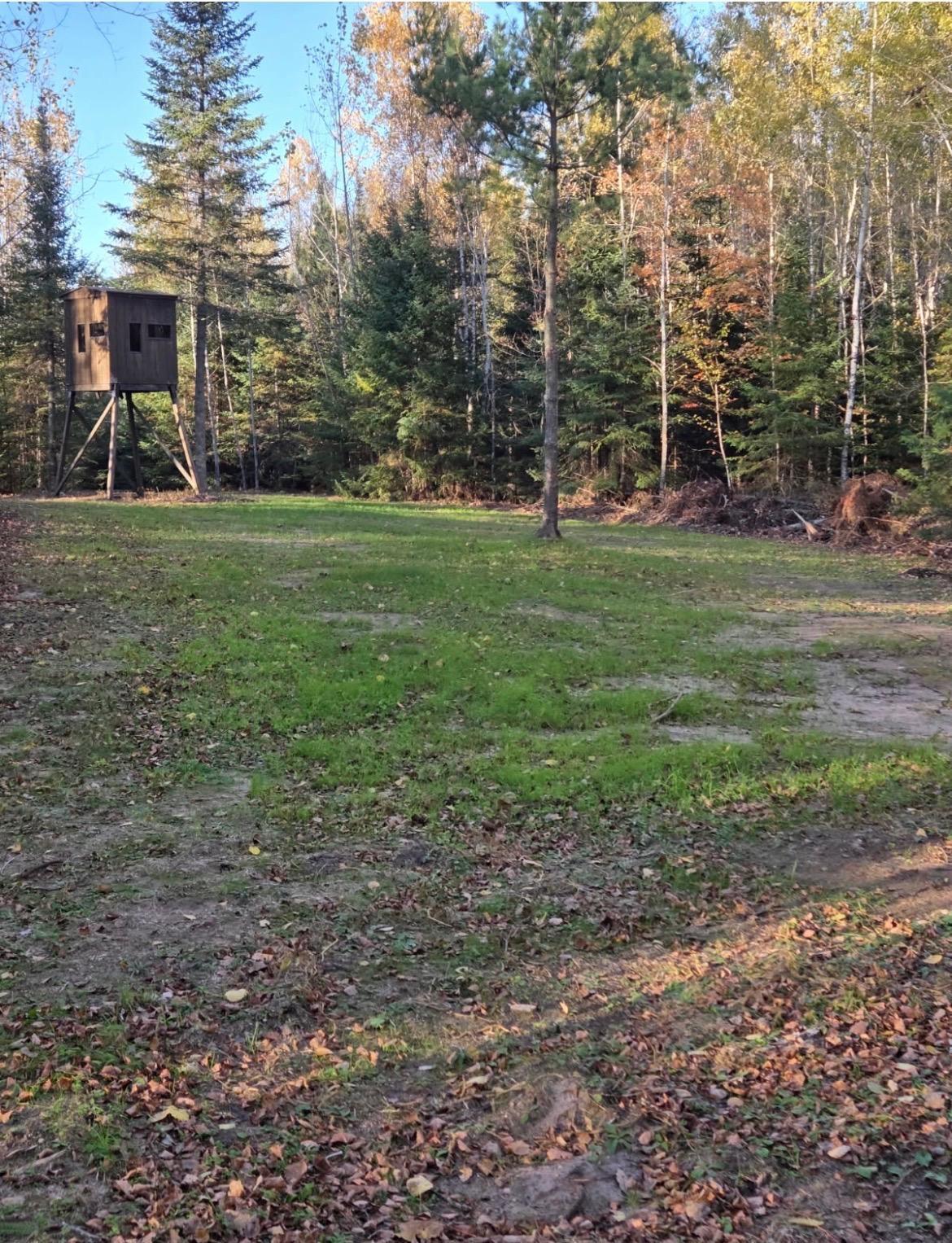 Deer Stand