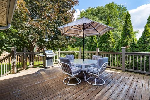 11761 Van Buren Street NE, Minneapolis, MN 55434