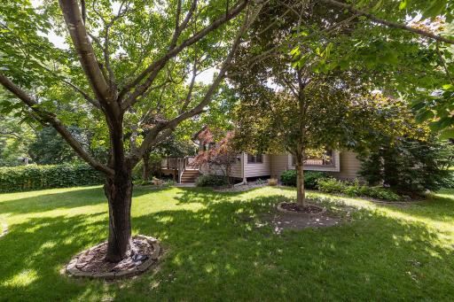 11761 Van Buren Street NE, Minneapolis, MN 55434