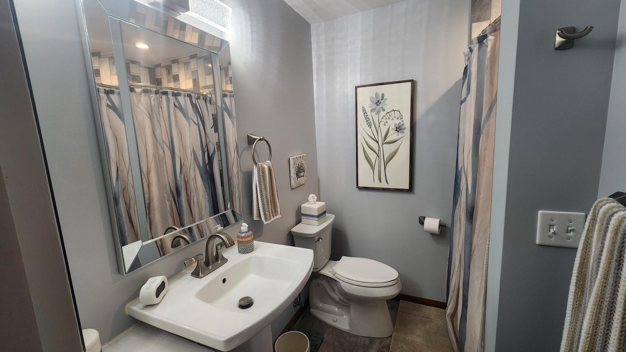 basement bath.JPG