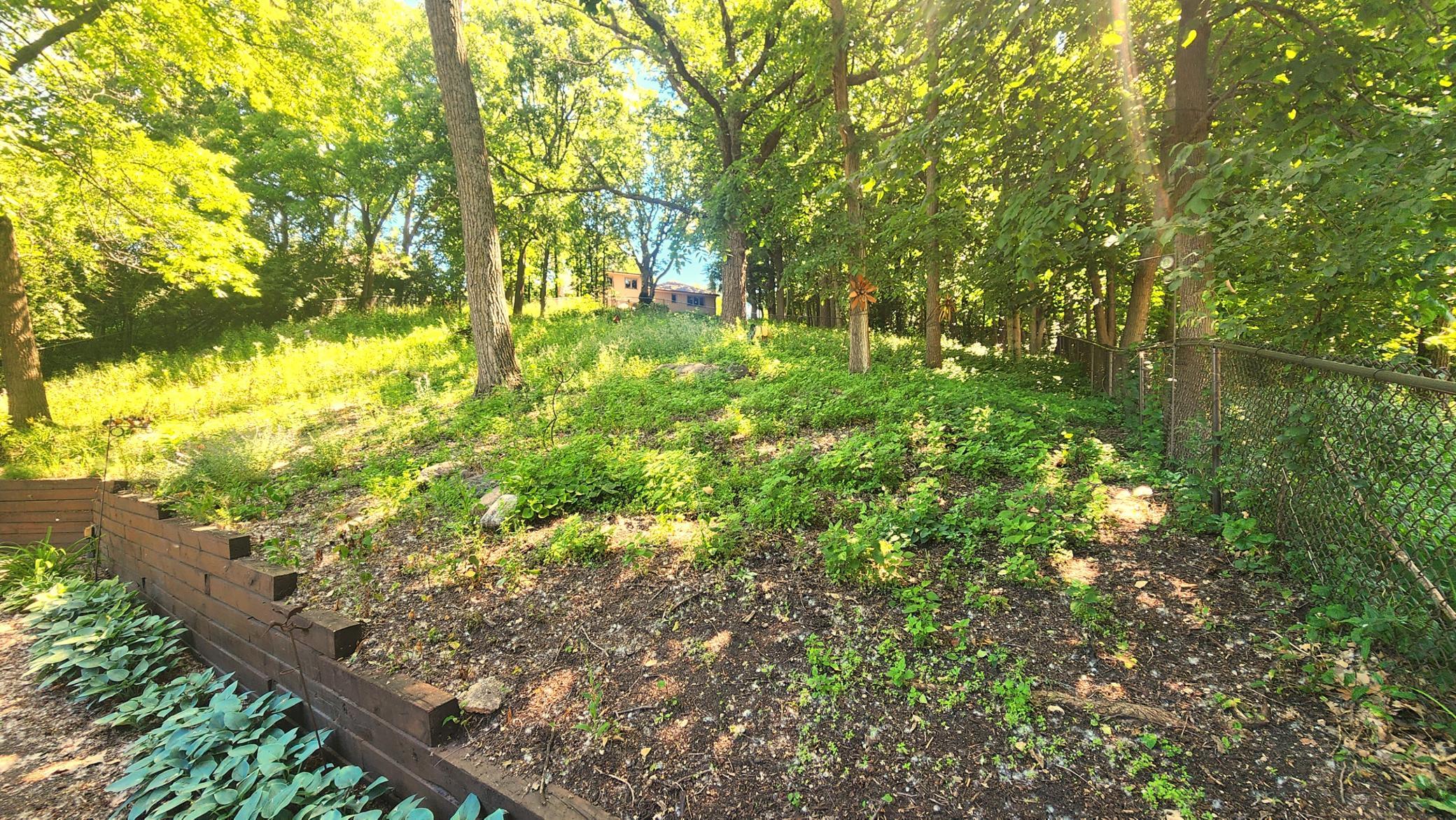 backyard[1] - Copy.JPG
