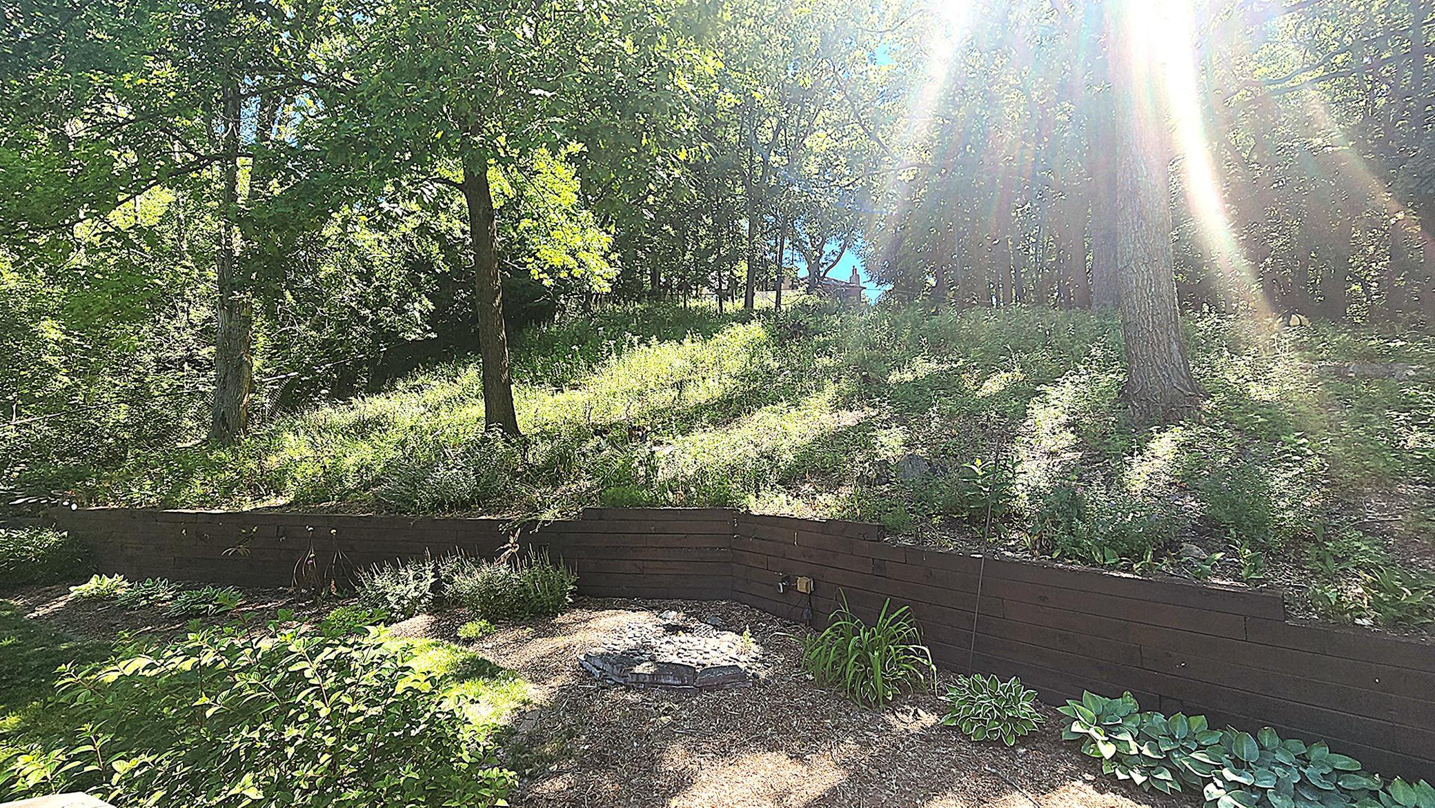 grassy_area[1] - Copy.JPG