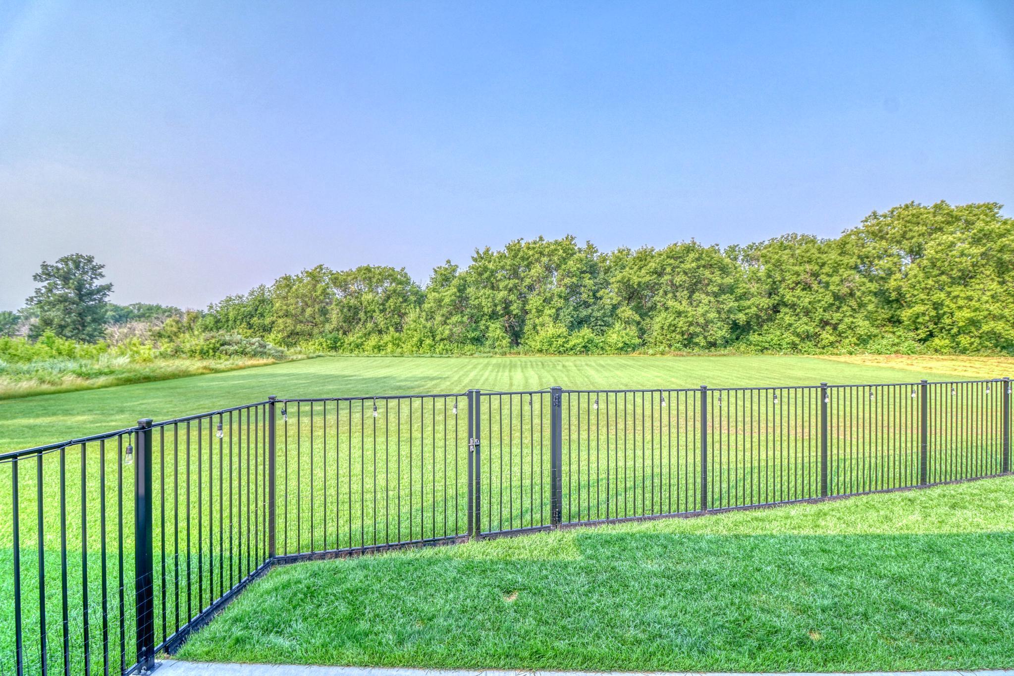 Backyard1_1.jpg