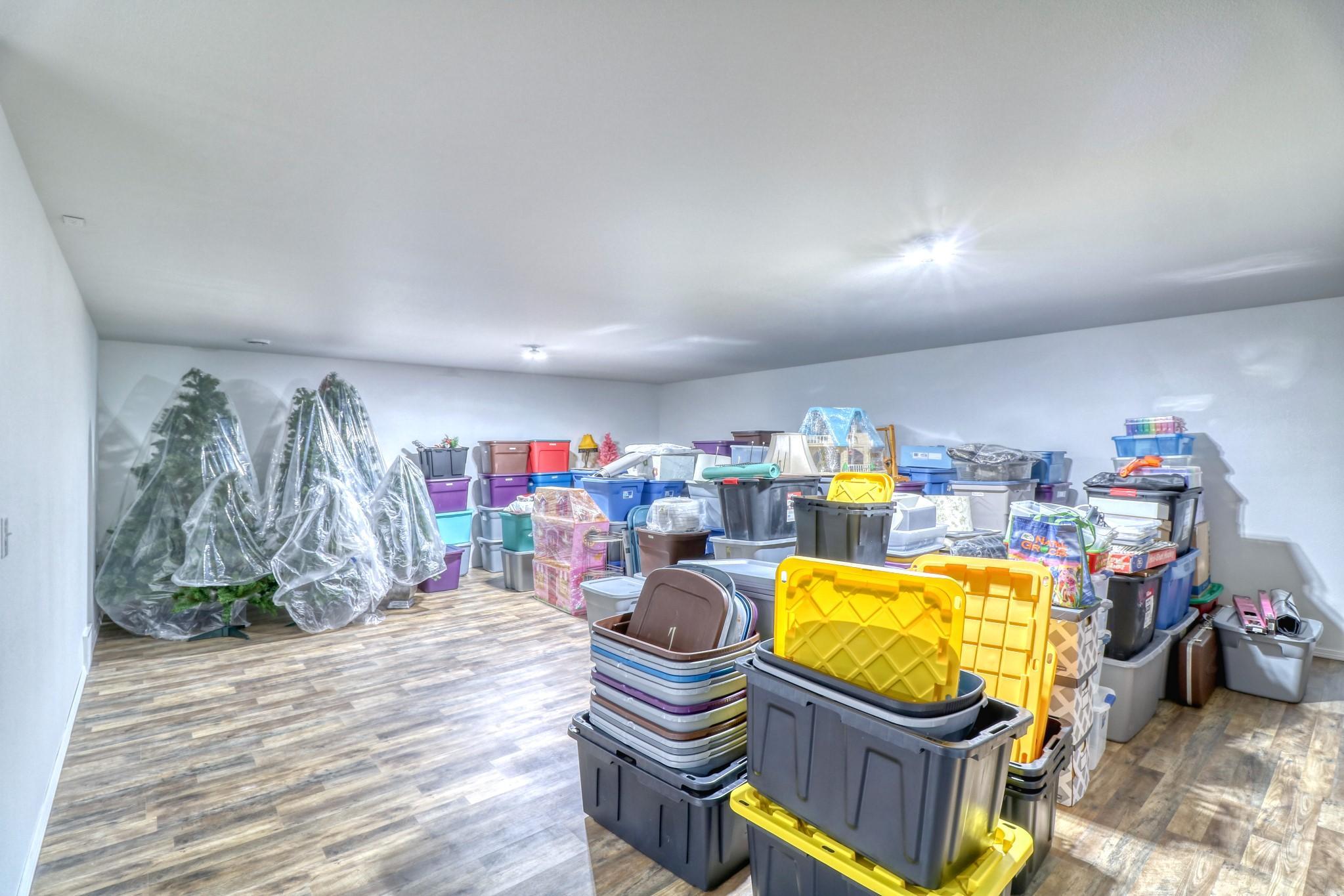 Basement Storage2