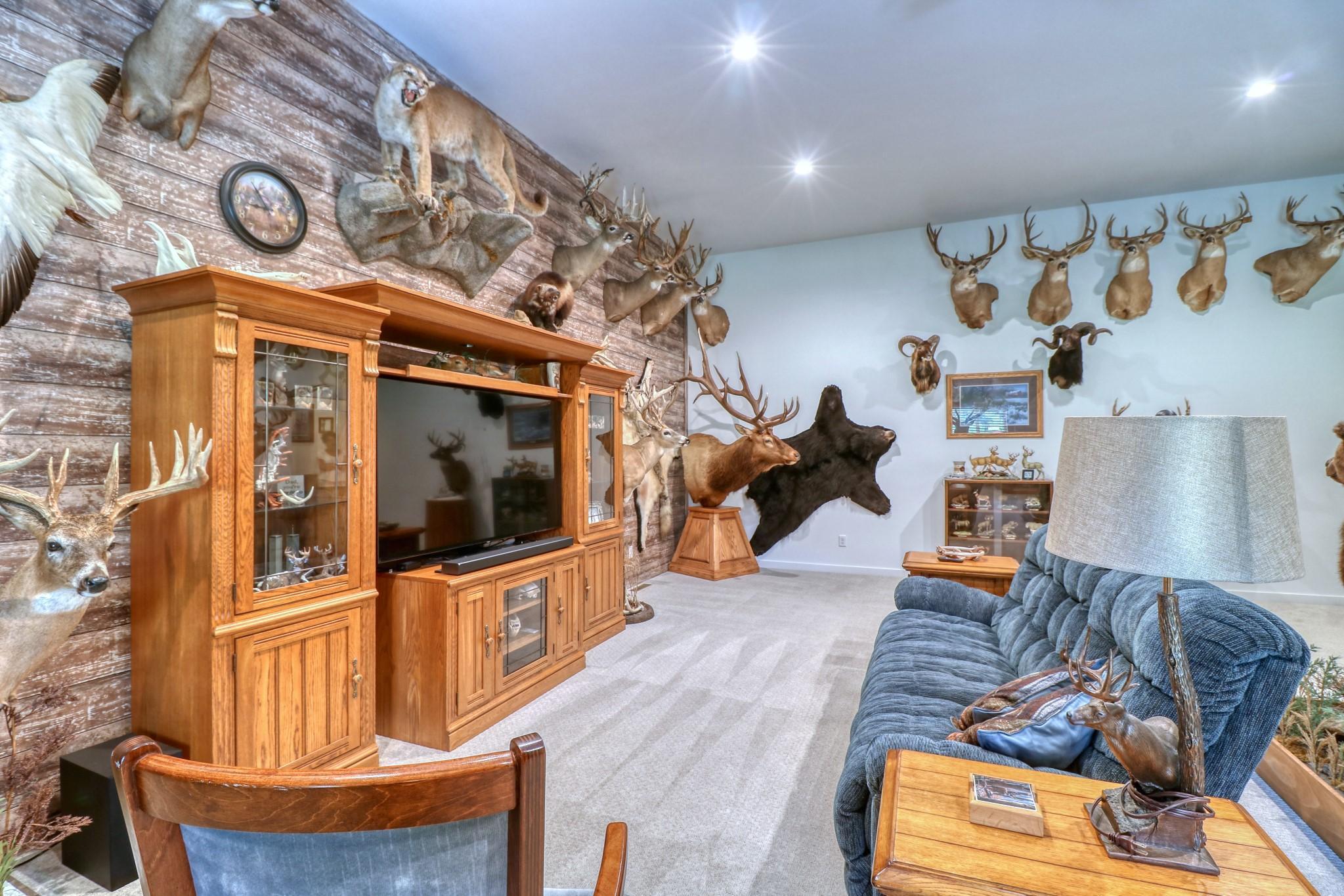 Main Floor Familyroom off Mudroom