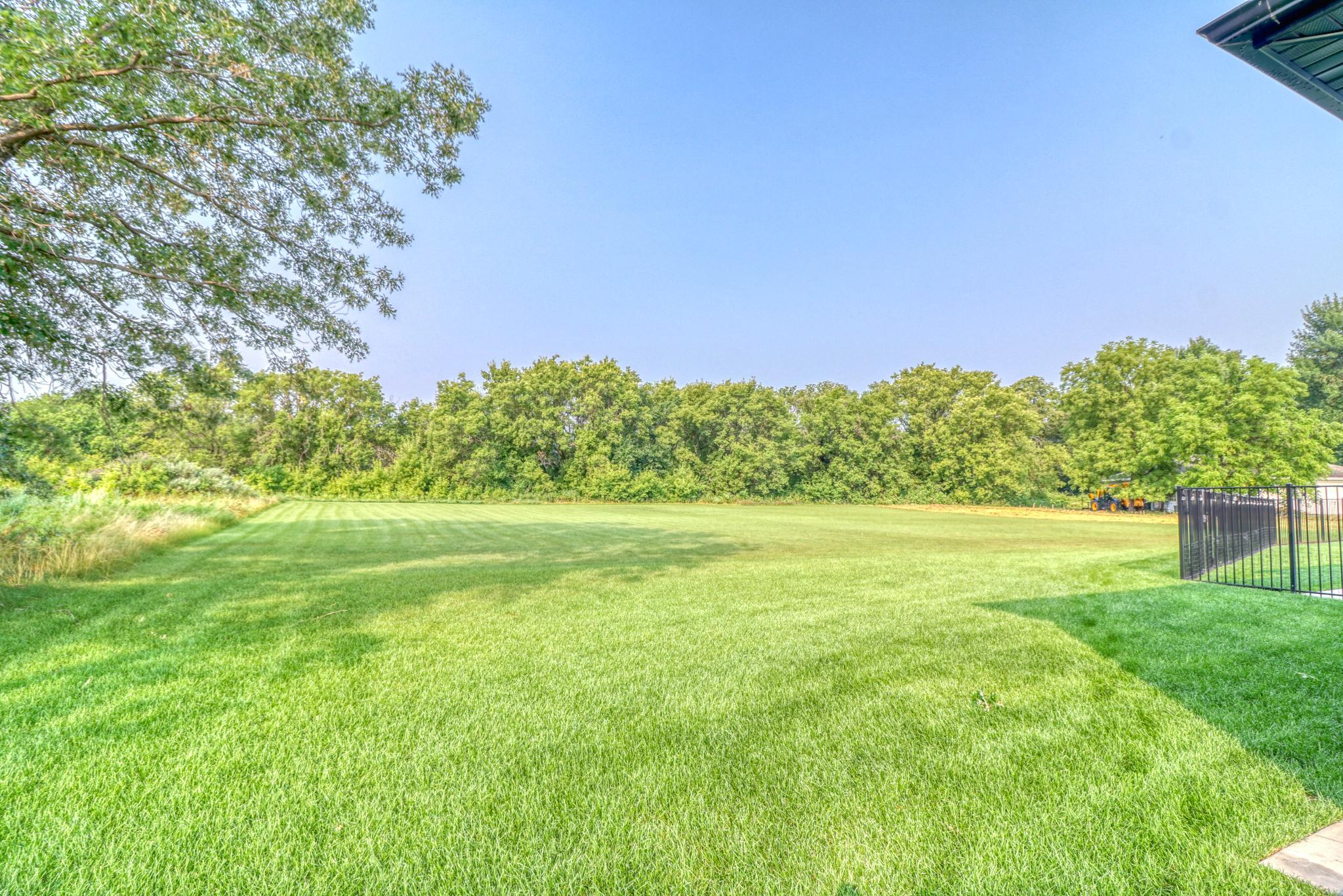 Expansive Backyard
