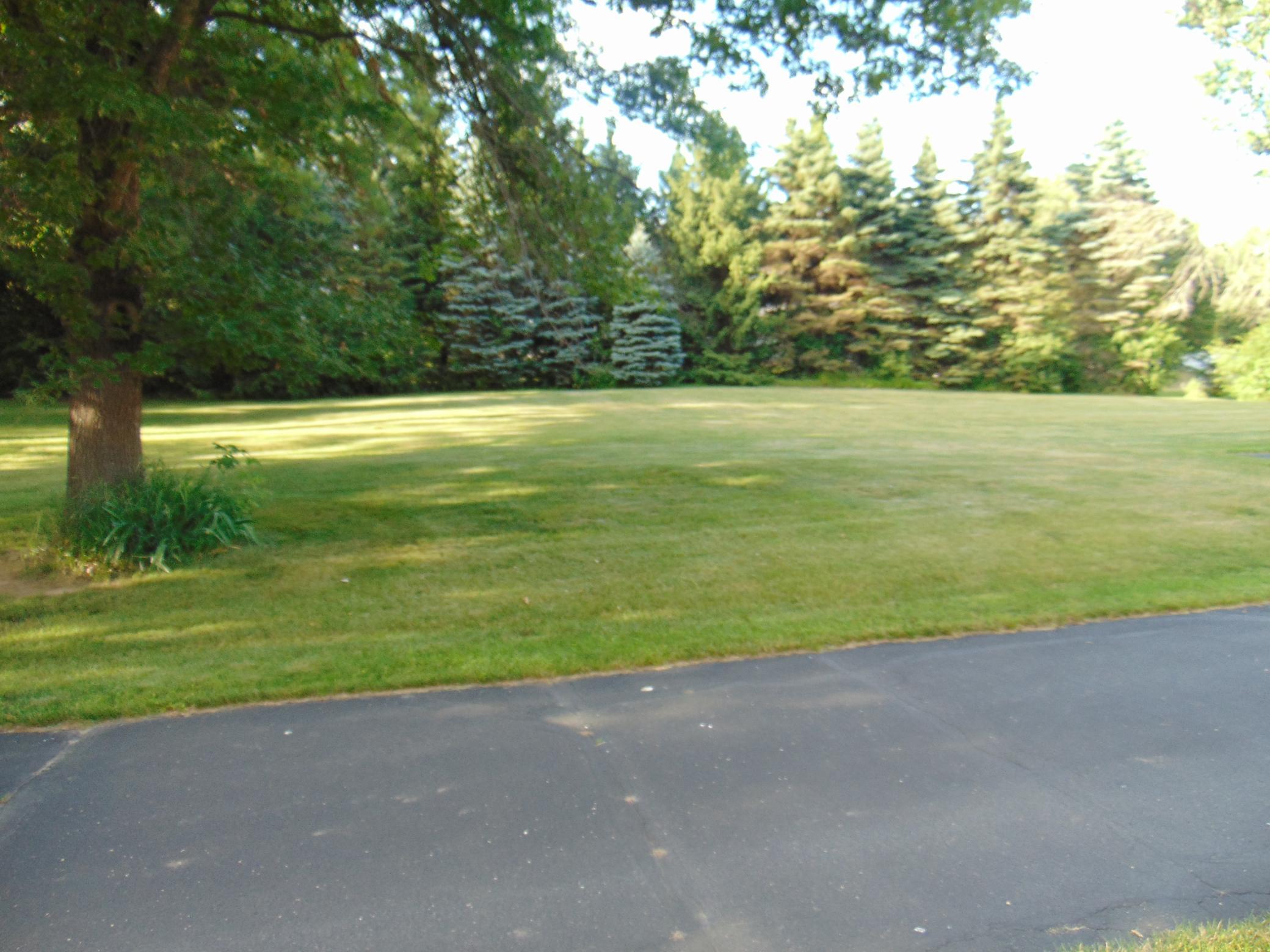 Side yard.