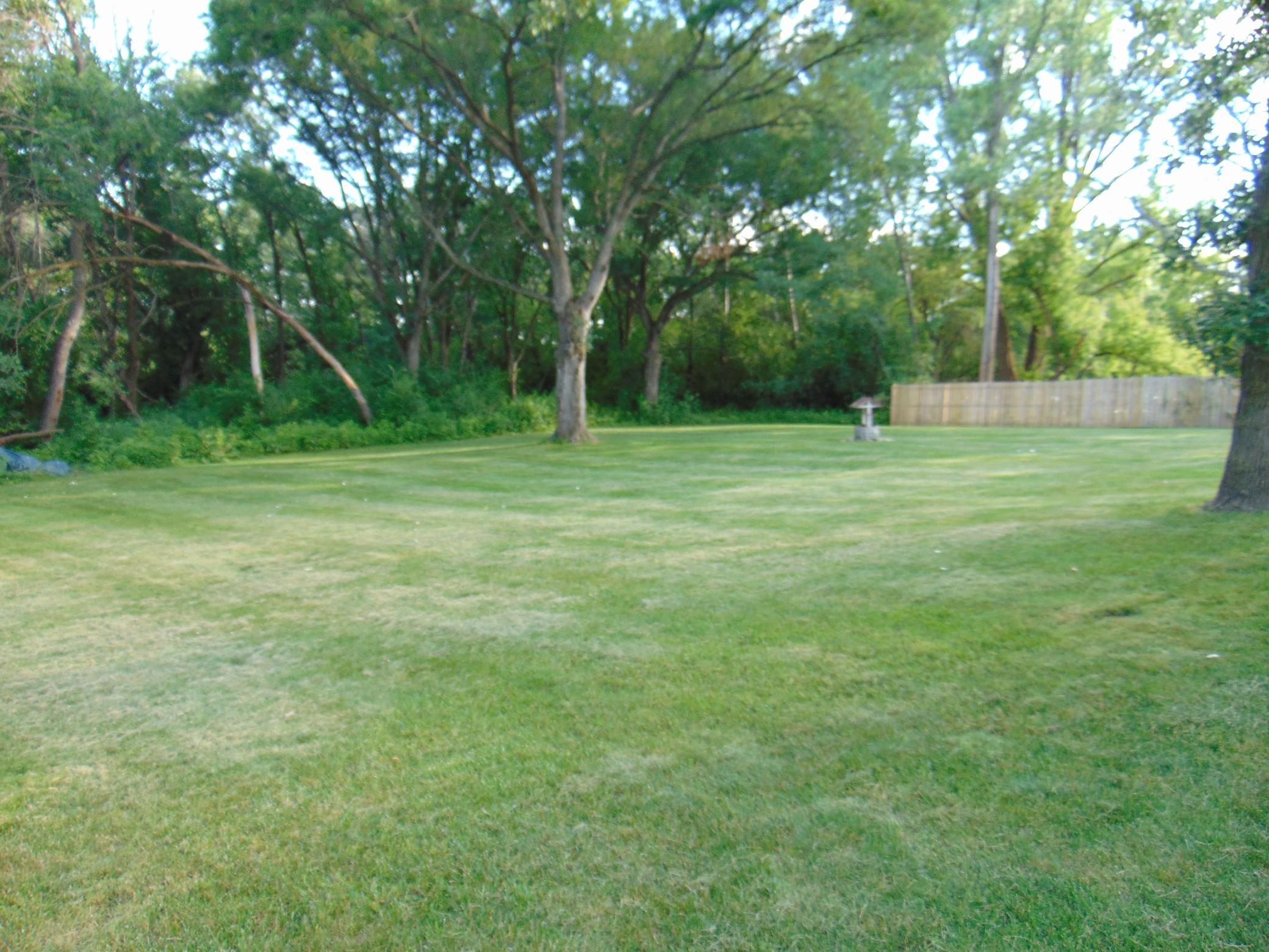 Large front yard facing woods.