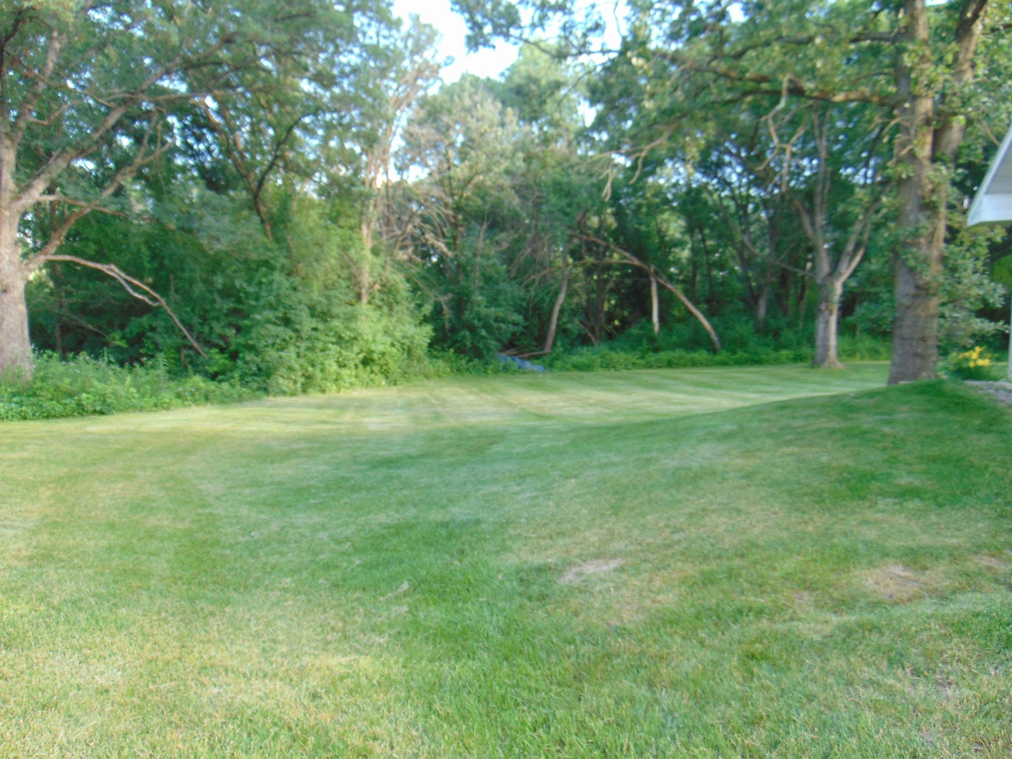More views of woods from front of home.