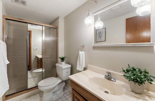 Lower level 3/4 bath