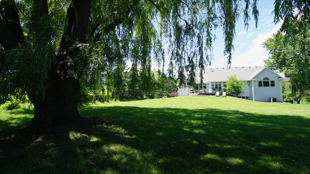Breathtaking views from every corner of the lot, including from the back of the lot, looking under the weeping willow tree toward the home.