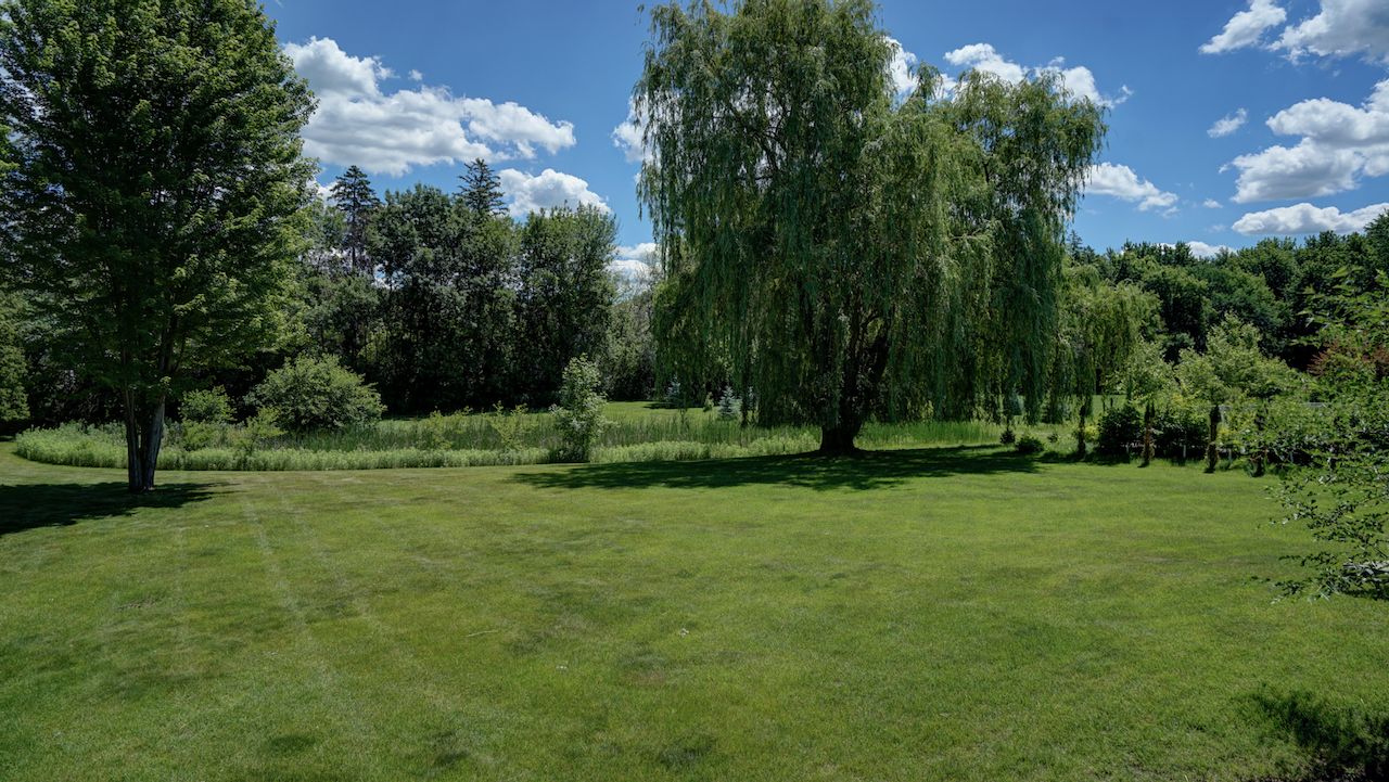 A sweeping view of the 0.93-acre lot, showcasing a private nature preserve that is nearly impossible to replicate in Shorewood.