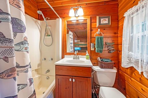 3746 Sioux Lane, Madison Lake, MN 56063