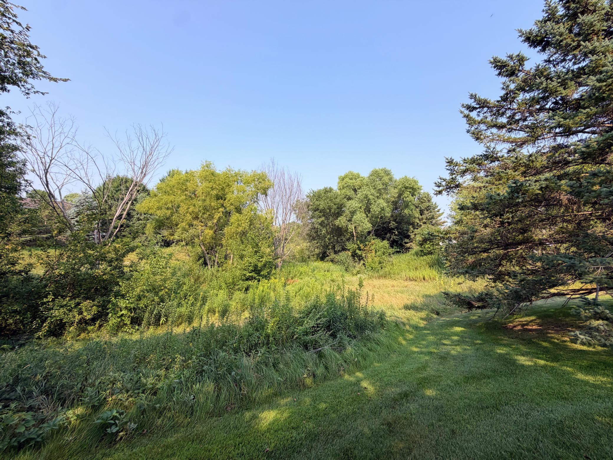 Peaceful wooded views