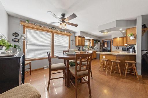 228 Plum Run, Le Sueur, MN 56058