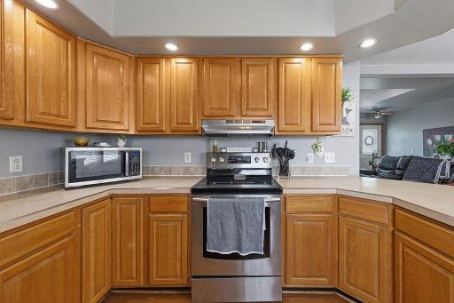 228 Plum Run, Le Sueur, MN 56058