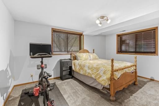 Lower level bedroom.