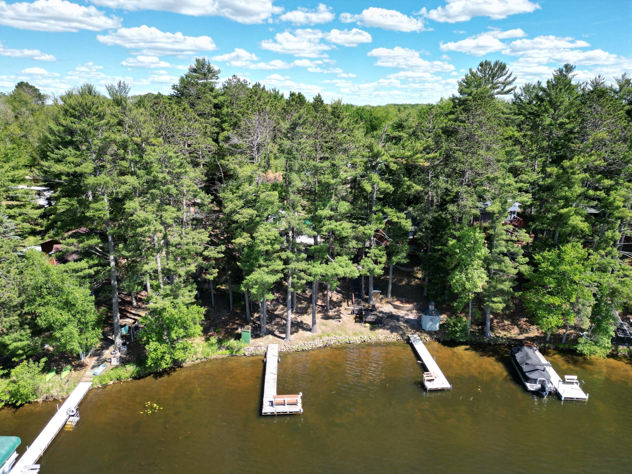 View from the lake towards the shoreline.
