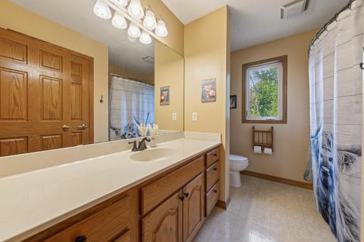 29742 400th Street, Le Sueur, MN 56058