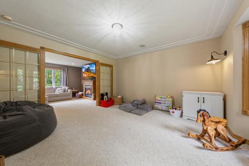 29742 400th Street, Le Sueur, MN 56058