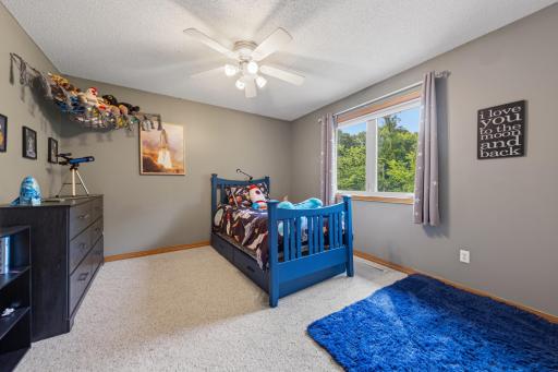 29742 400th Street, Le Sueur, MN 56058