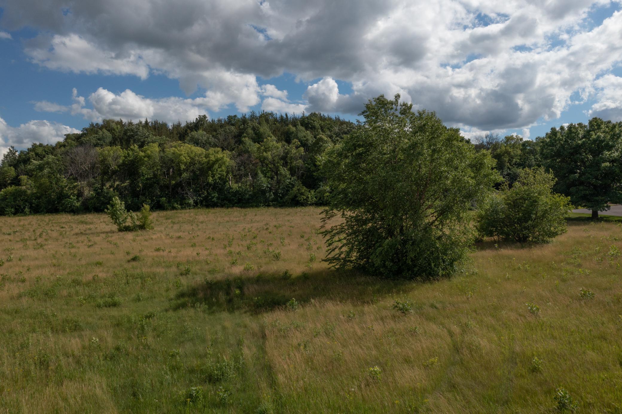 County Rd SS-12.jpg